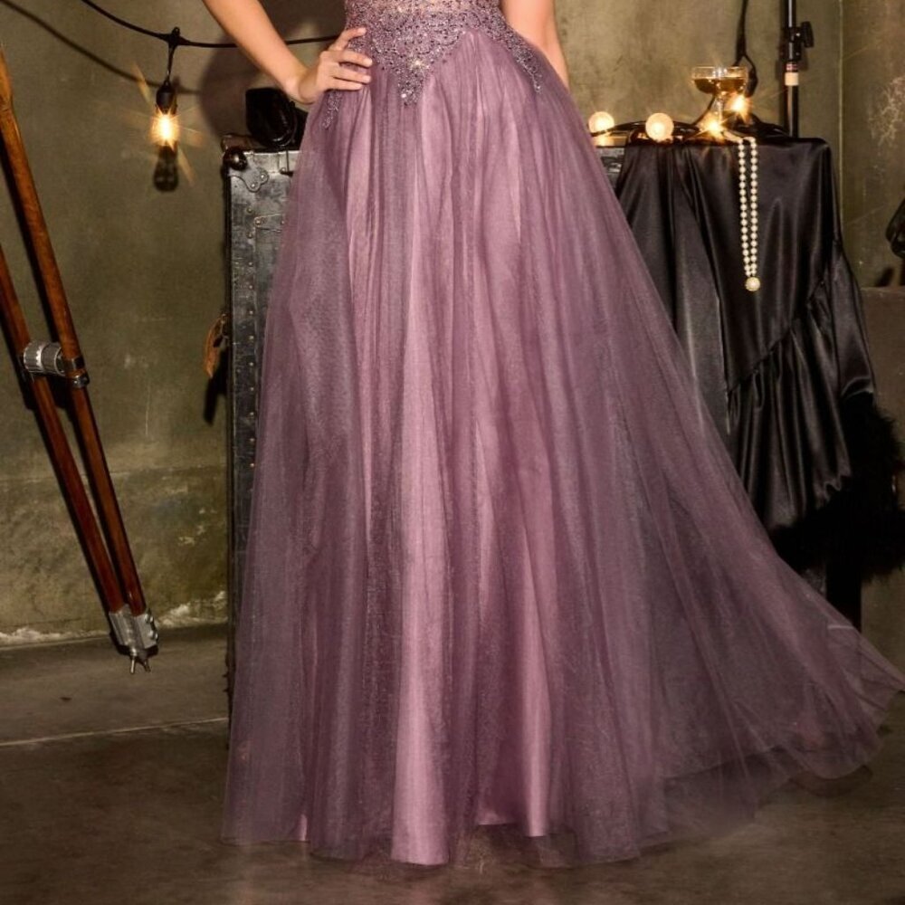 New English Violet Rhinestones Embellished A-Line Gown w/ V-Neckline CD CR880 - Picture 10 of 10
